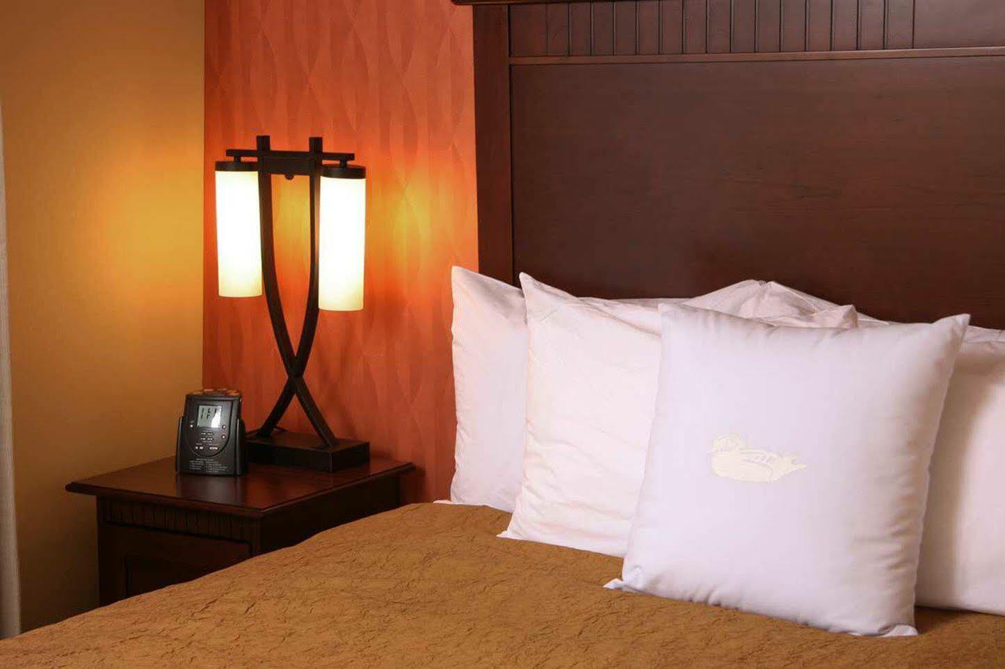 Homewood Suites By Hilton Denver International Airport Aurora Exteriör bild